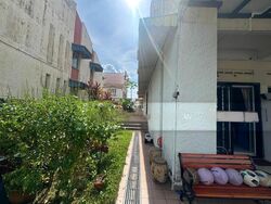 Serangoon Garden Estate (D19), Terrace #504642741